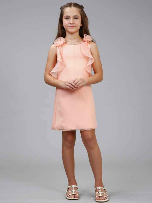 Vestido ALICE
